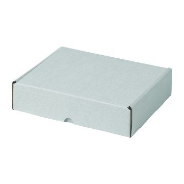 Small White Cardboard Postal Boxes - 250 x 210 x 50mm